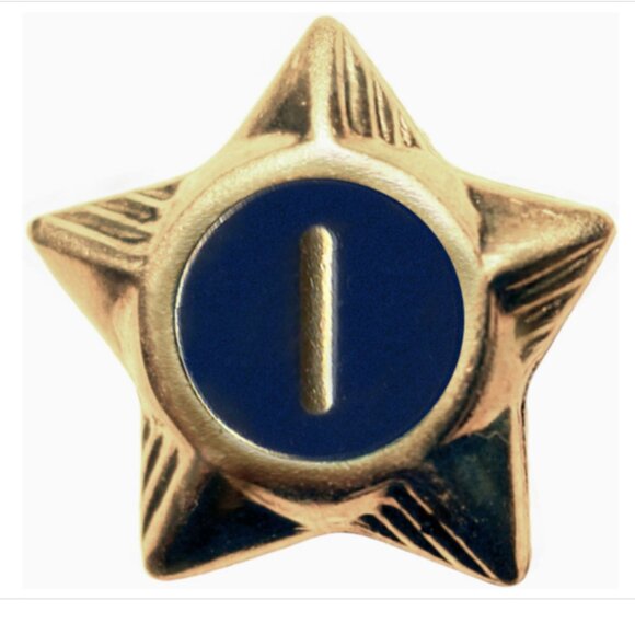 BSA: Service Star - 1 Year - Picture 1 of 3
